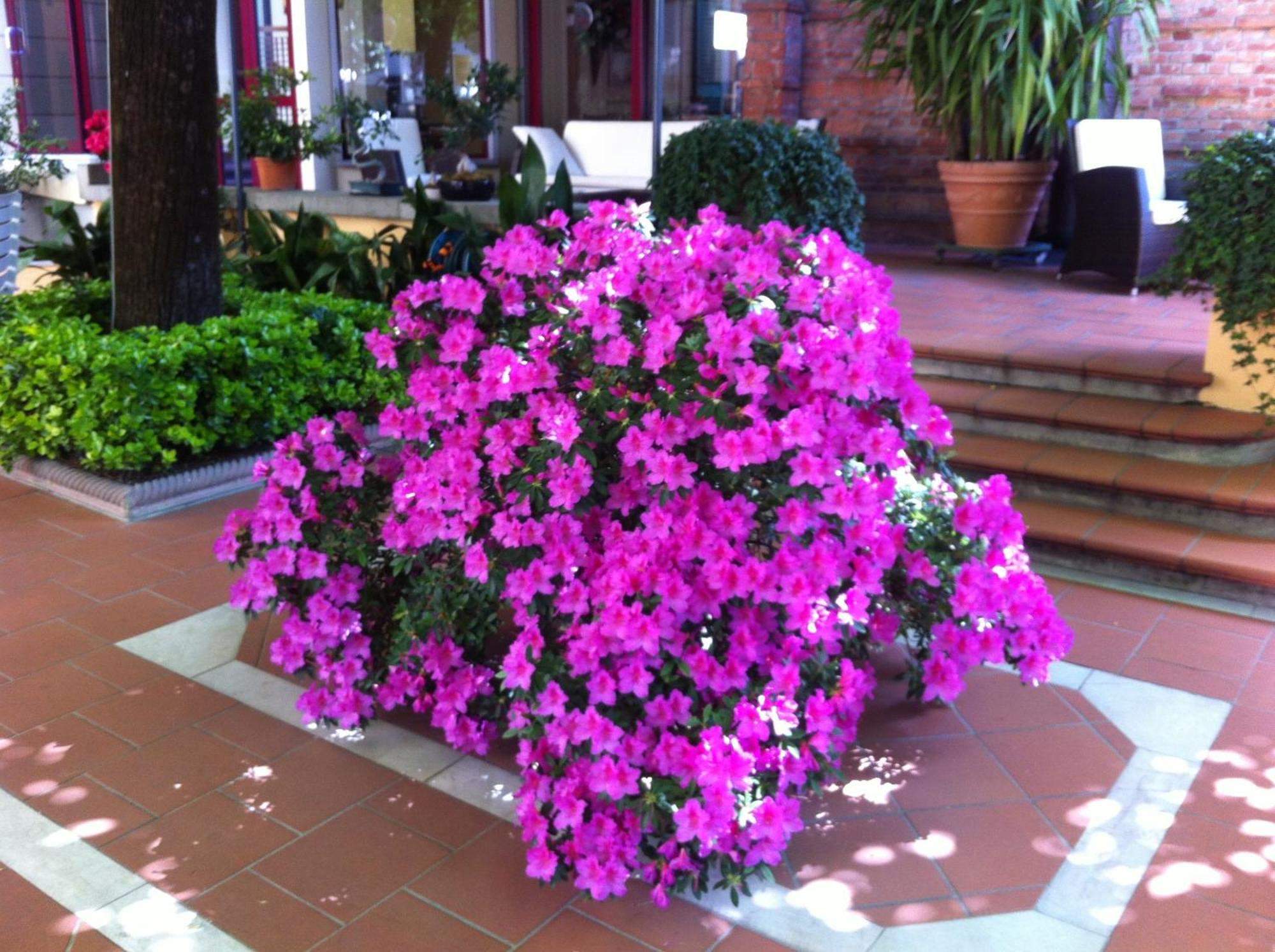 Hotel Reale 3*